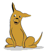 Hund